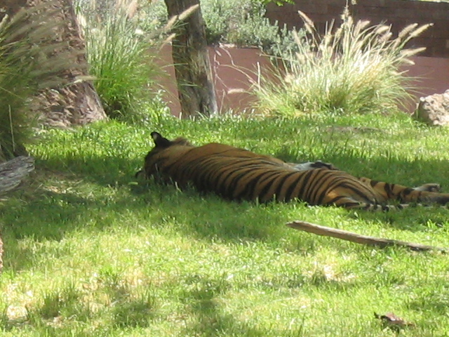 618x457 pixels (234K)